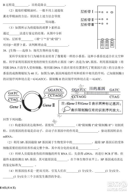 银川一中2022届高三年级第四次月考理科综合试题及答案 银川一中2022届高三年级第四次月考理科综合试题及答案