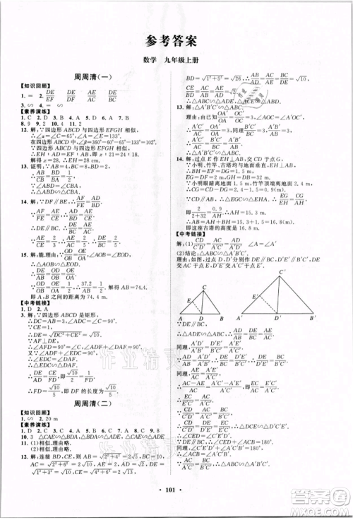 山东教育出版社2021初中同步练习册分层卷九年级数学上册青岛版参考答案