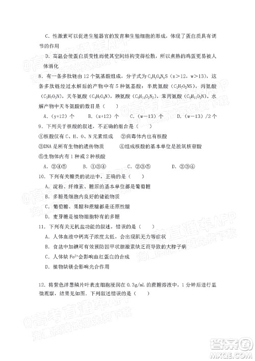 江西省九校2022届高三上学期期中联考生物试题及答案 江西省九校2022届高三上学期期中联考生物试题及答案