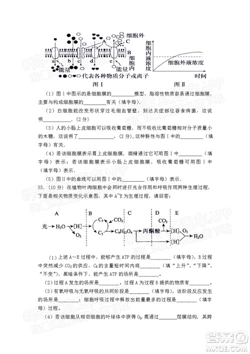 江西省九校2022届高三上学期期中联考生物试题及答案 江西省九校2022届高三上学期期中联考生物试题及答案