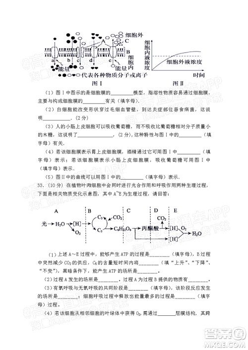 江西省九校2022届高三上学期期中联考生物试题及答案