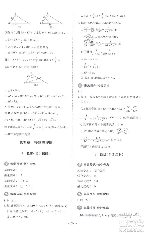北京师范大学出版社2021课内课外直通车九年级数学上册北师大版答案 北京师范大学出版社2021课内课外直通车九年级数学上册北师大版答案