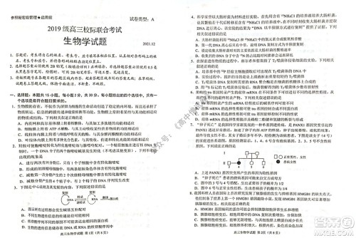 山东日照2019级高三校级联合考试生物试题及答案