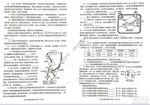 山东日照2019级高三校级联合考试生物试题及答案