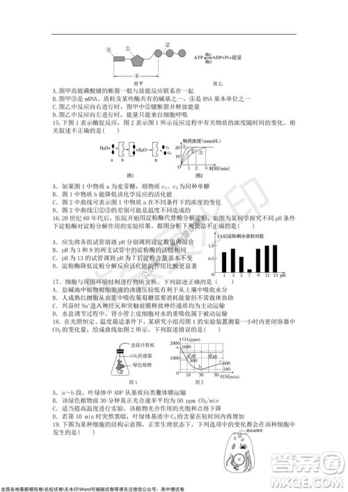 重庆八中2021-2022学年第一学期期中考试高三生物试题及答案