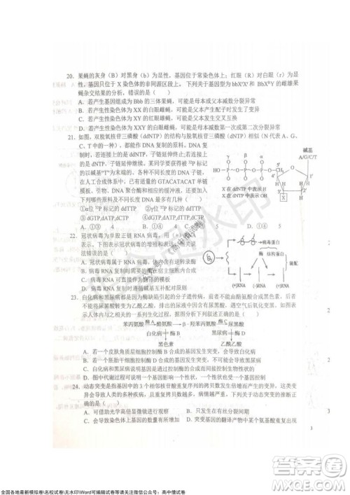 安徽六安一中学2022届高三年级第四次月考生物试题及答案