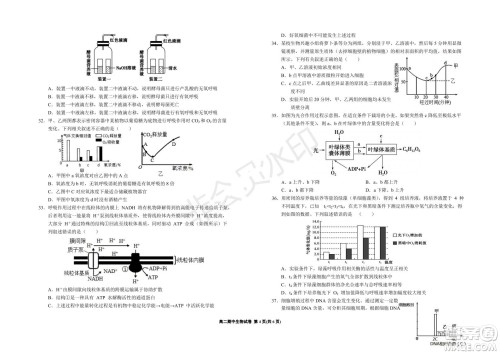 银川一中2021-2022学年度高二上学期期中考试生物试题及答案