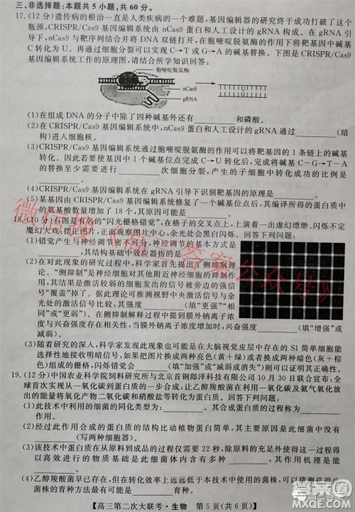 五市十校教研教改共同体2022届高三第二次大联考生物试题及答案