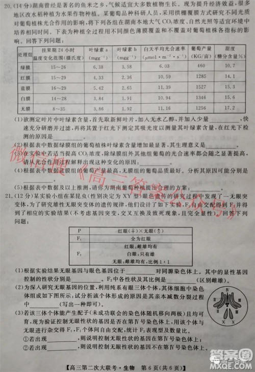 五市十校教研教改共同体2022届高三第二次大联考生物试题及答案