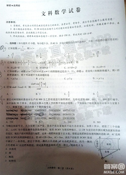 2022届云师大附中高三适应性月考六​文科数学试题及答案