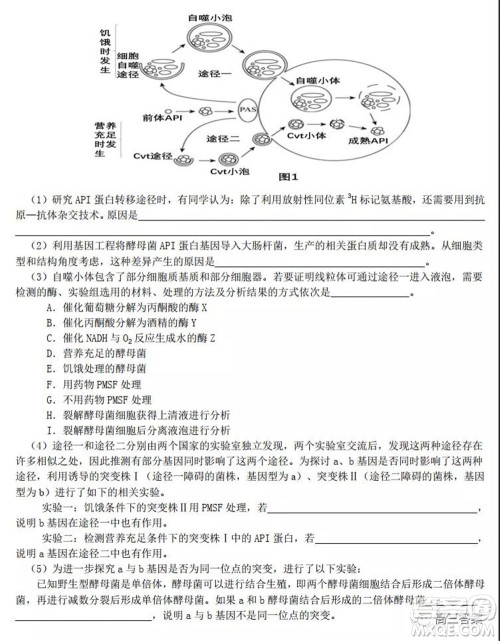 2022届高三湖北十一校第一次联考生物试题及答案