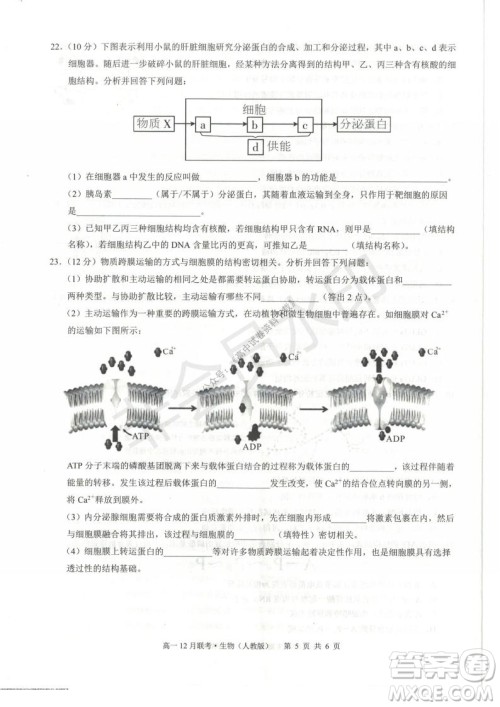 2021年广西三新学术联盟高一12月联考生物试题及答案
