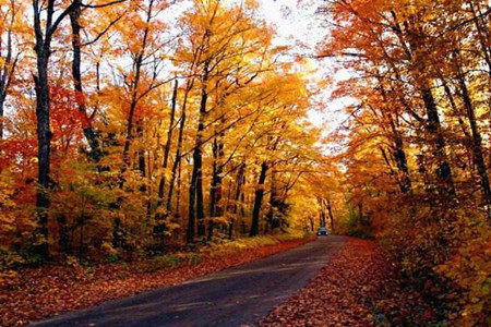 智慧树知到《中国看世界之加拿大篇》见面课答案