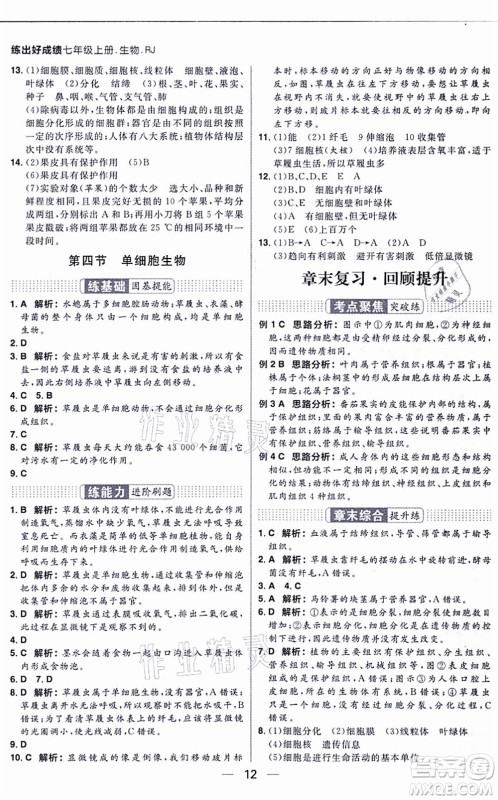 南方出版社2021练出好成绩七年级生物上册RJ人教版答案 南方出版社2021练出好成绩七年级生物上册RJ人教版答案
