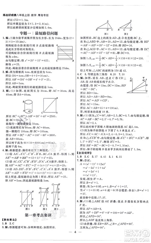 南方出版社2021练出好成绩八年级数学上册北师大版青岛专版答案