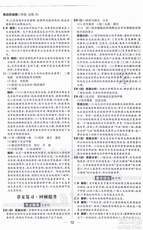 南方出版社2021练出好成绩八年级生物上册RJ人教版答案