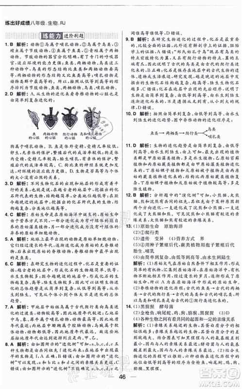 南方出版社2021练出好成绩八年级生物上册RJ人教版答案