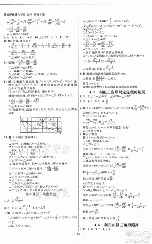 南方出版社2021练出好成绩九年级数学全一册北师大版青岛专版答案