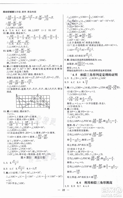 南方出版社2021练出好成绩九年级数学全一册北师大版青岛专版答案 南方出版社2021练出好成绩九年级数学全一册北师大版青岛专版答案