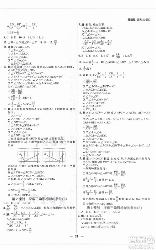 南方出版社2021练出好成绩九年级数学全一册北师大版青岛专版答案