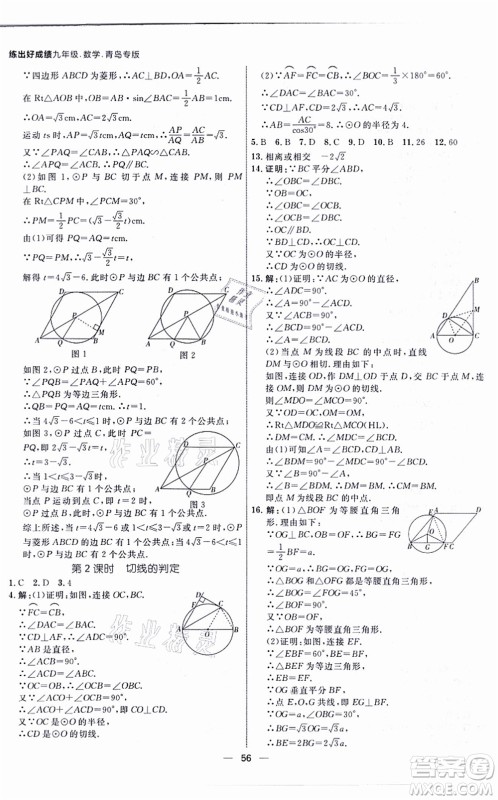 南方出版社2021练出好成绩九年级数学全一册北师大版青岛专版答案