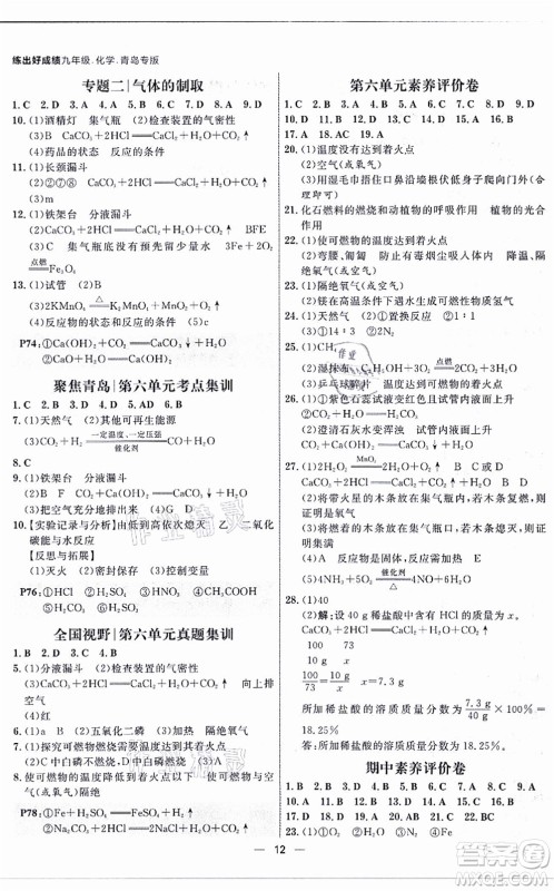 南方出版社2021练出好成绩九年级化学全一册人教版青岛专版答案 南方出版社2021练出好成绩九年级化学全一册人教版青岛专版答案