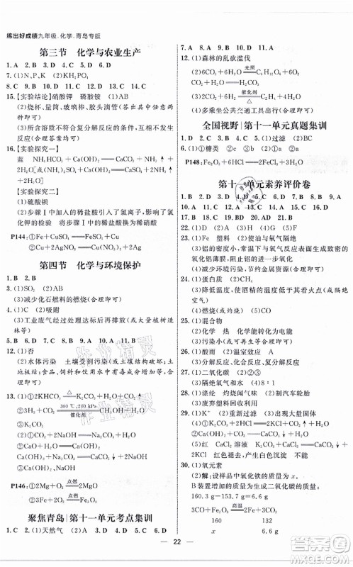 南方出版社2021练出好成绩九年级化学全一册人教版青岛专版答案 南方出版社2021练出好成绩九年级化学全一册人教版青岛专版答案