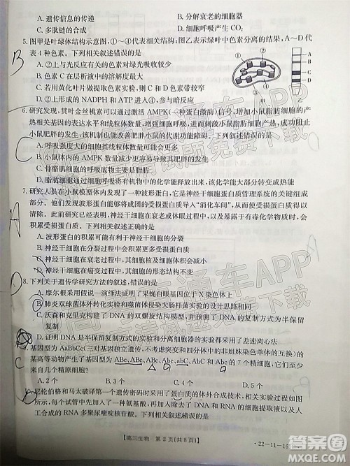 2022届辽宁金太阳12月联考高三生物试题及答案 2022届辽宁金太阳12月联考高三生物试题及答案