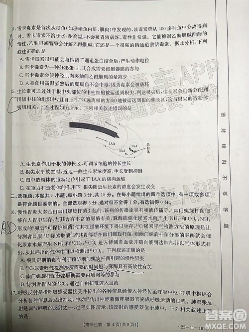 2022届辽宁金太阳12月联考高三生物试题及答案 2022届辽宁金太阳12月联考高三生物试题及答案