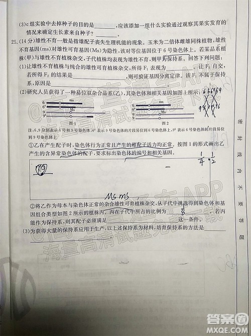 2022届辽宁金太阳12月联考高三生物试题及答案 2022届辽宁金太阳12月联考高三生物试题及答案