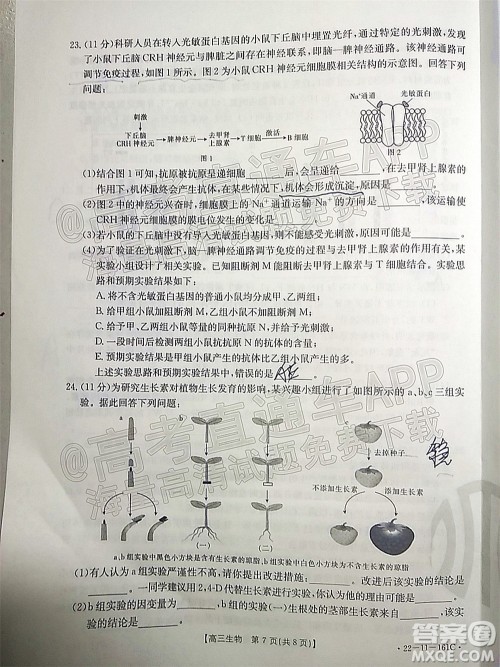 2022届辽宁金太阳12月联考高三生物试题及答案