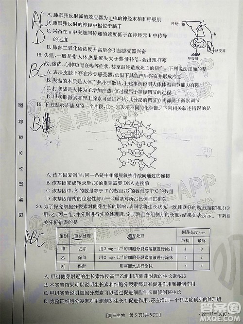 2022届辽宁金太阳12月联考高三生物试题及答案 2022届辽宁金太阳12月联考高三生物试题及答案