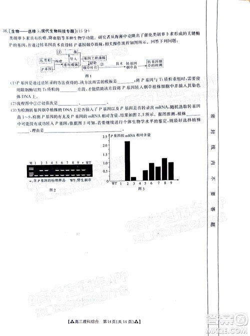 2022届西南四省金太阳12月联考高三理科综合试题及答案