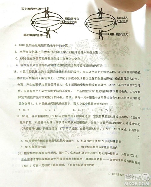 铁岭市六校协作体2021-2022学年度高三四联考试生物试卷及答案 铁岭市六校协作体2021-2022学年度高三四联考试生物试卷及答案