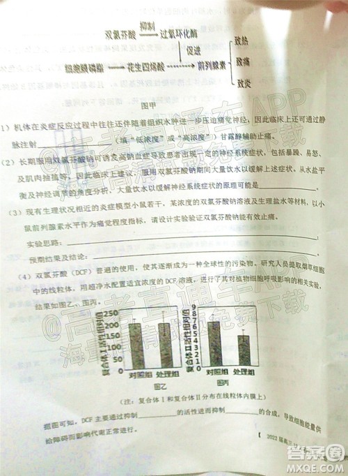铁岭市六校协作体2021-2022学年度高三四联考试生物试卷及答案 铁岭市六校协作体2021-2022学年度高三四联考试生物试卷及答案