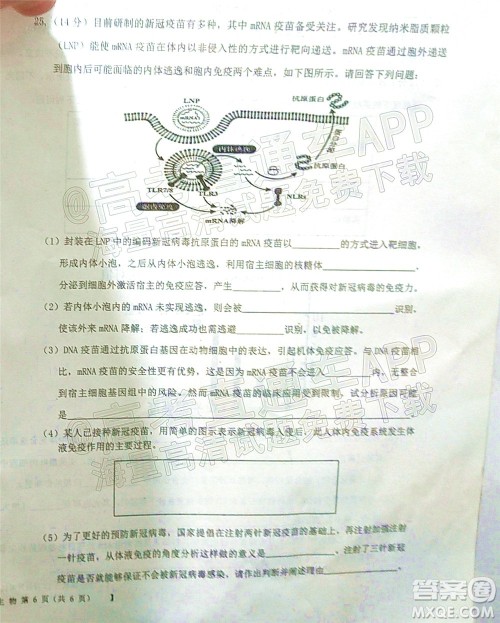 铁岭市六校协作体2021-2022学年度高三四联考试生物试卷及答案 铁岭市六校协作体2021-2022学年度高三四联考试生物试卷及答案