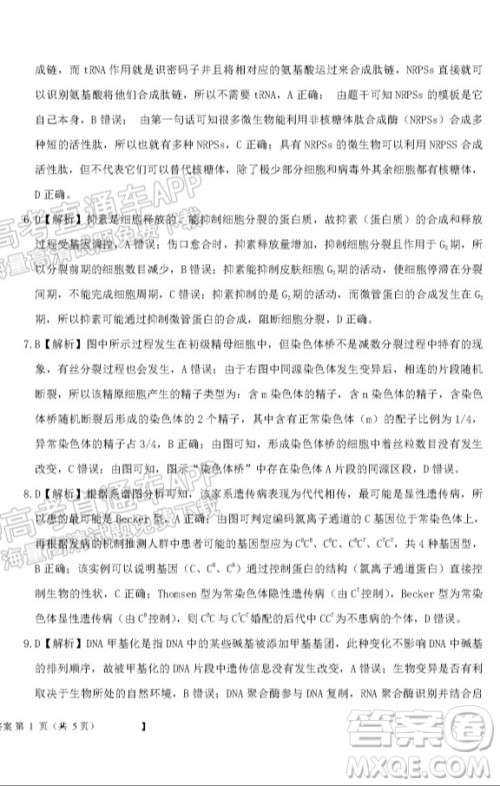 铁岭市六校协作体2021-2022学年度高三四联考试生物试卷及答案 铁岭市六校协作体2021-2022学年度高三四联考试生物试卷及答案