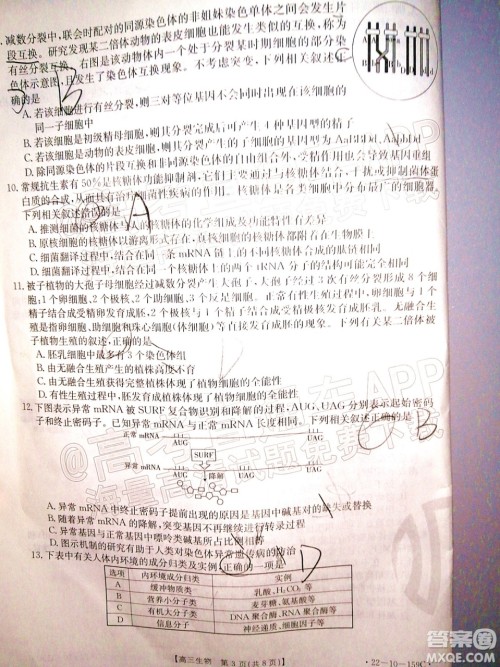 2022届山东金太阳12月联考高三生物试题及答案