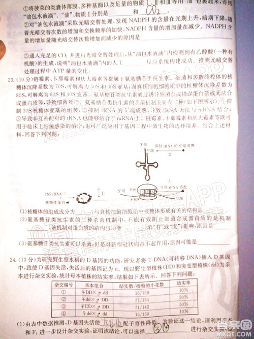 2022届山东金太阳12月联考高三生物试题及答案