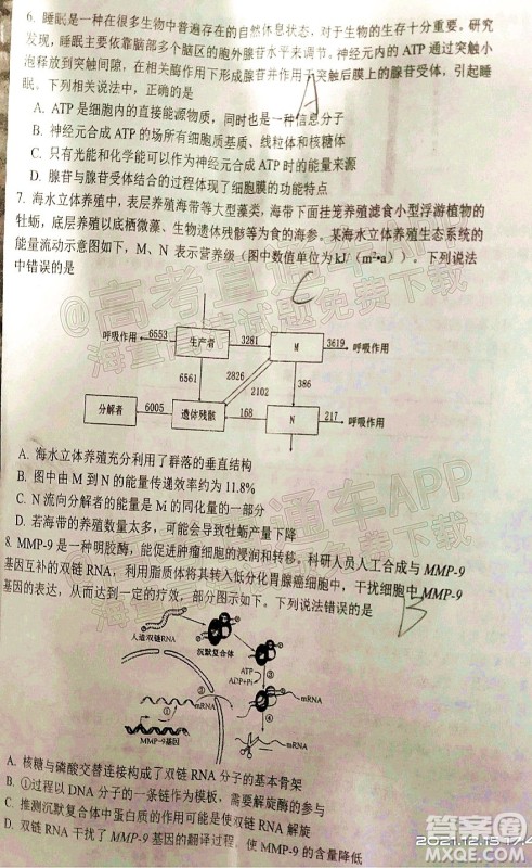 腾云联盟2021-2022学年度上学期高三12月联考生物试题及答案