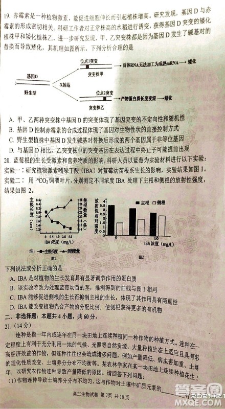 腾云联盟2021-2022学年度上学期高三12月联考生物试题及答案 腾云联盟2021-2022学年度上学期高三12月联考生物试题及答案