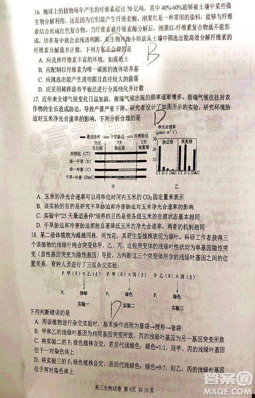 腾云联盟2021-2022学年度上学期高三12月联考生物试题及答案