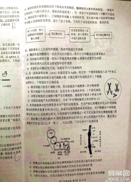 腾云联盟2021-2022学年度上学期高三12月联考生物试题及答案 腾云联盟2021-2022学年度上学期高三12月联考生物试题及答案