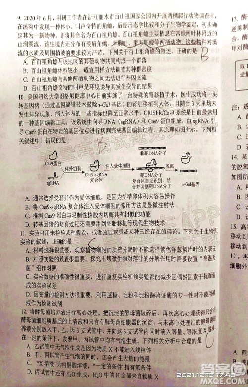 腾云联盟2021-2022学年度上学期高三12月联考生物试题及答案