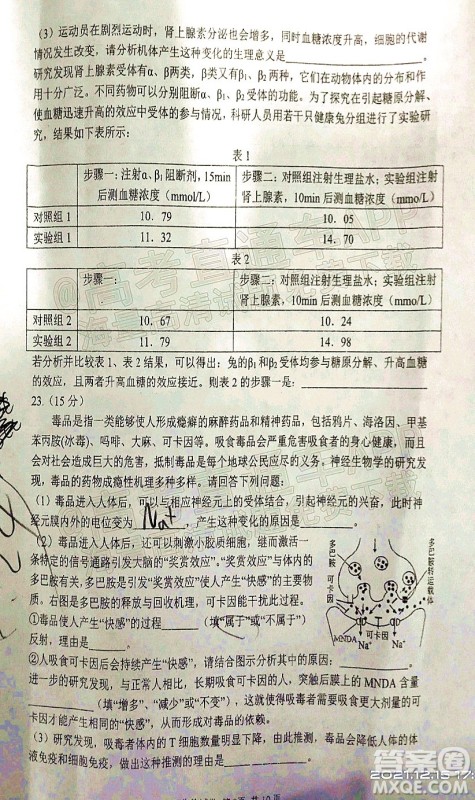 腾云联盟2021-2022学年度上学期高三12月联考生物试题及答案 腾云联盟2021-2022学年度上学期高三12月联考生物试题及答案