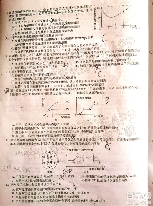 蒙城一中涡阳一中淮南一中怀远一中颍上一中2022届高三第一次五校联考生物试题及答案