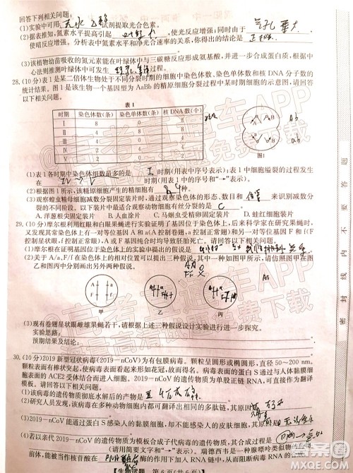 蒙城一中涡阳一中淮南一中怀远一中颍上一中2022届高三第一次五校联考生物试题及答案