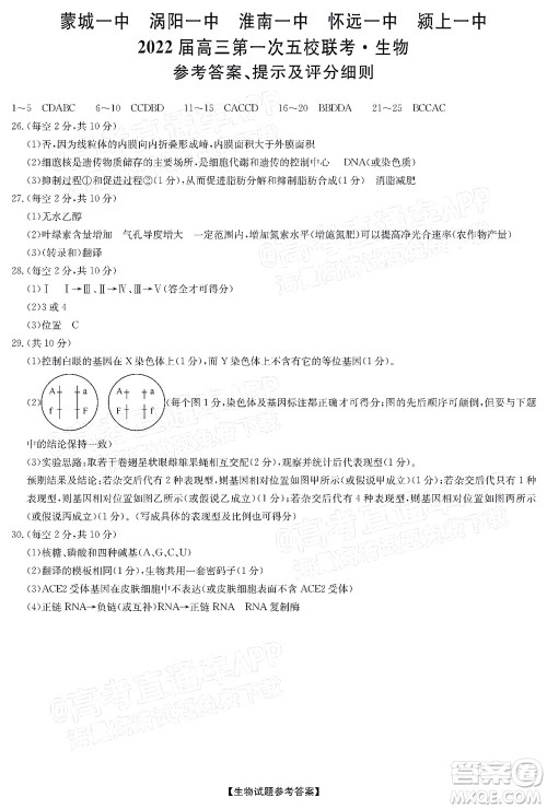 蒙城一中涡阳一中淮南一中怀远一中颍上一中2022届高三第一次五校联考生物试题及答案 蒙城一中涡阳一中淮南一中怀远一中颍上一中2022届高三第一次五校联考生物试题及答案