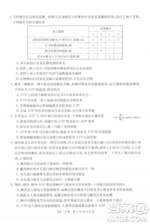 2021年河北金太阳高一12月联考生物试题及答案