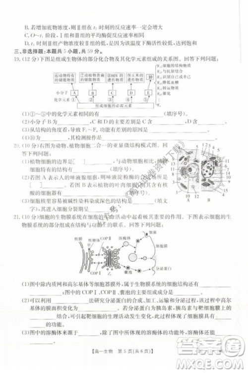 2021年河北金太阳高一12月联考生物试题及答案 2021年河北金太阳高一12月联考生物试题及答案